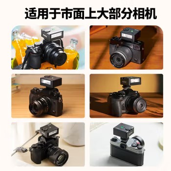 IM30闪光灯小型热靴接口通用型相机闪光灯小方块便捷外拍摄影数码微单外置mini补光灯 IM30迷你闪光灯 通用版