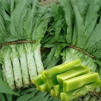 新鲜莴笋农家自种莴苣当季时令青笋青菜新鲜翠绿莴苣蔬菜 精选3斤