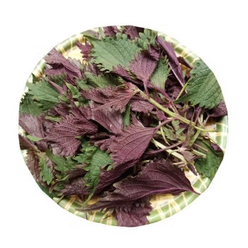 湖南湘菜食材新鲜蔬菜鲜紫苏叶子田螺鱼虾海鲜去腥味 带杆子3斤