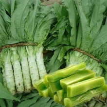 新鲜莴笋农家自种莴苣当季时令青笋青菜新鲜翠绿莴苣蔬菜 精选3斤