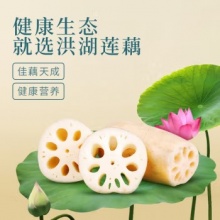 农家莲藕新鲜 洪湖粉藕 蔬菜 生鲜5斤 火锅食材 洪湖莲藕