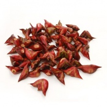 新鲜菱角新鲜菱角 老菱角 菱角散装带壳青菱角5斤顺丰发货