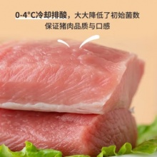 里脊肉500g 冷冻猪里脊肉 烤肠食材 国产猪肉生鲜
