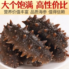 即食海参 即食大连刺参单个装 500g深海辽刺参海参干货水产礼盒 7A即食海参 31-40只/斤 一斤装